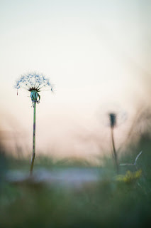 Untitled by Christopher Eubanks 