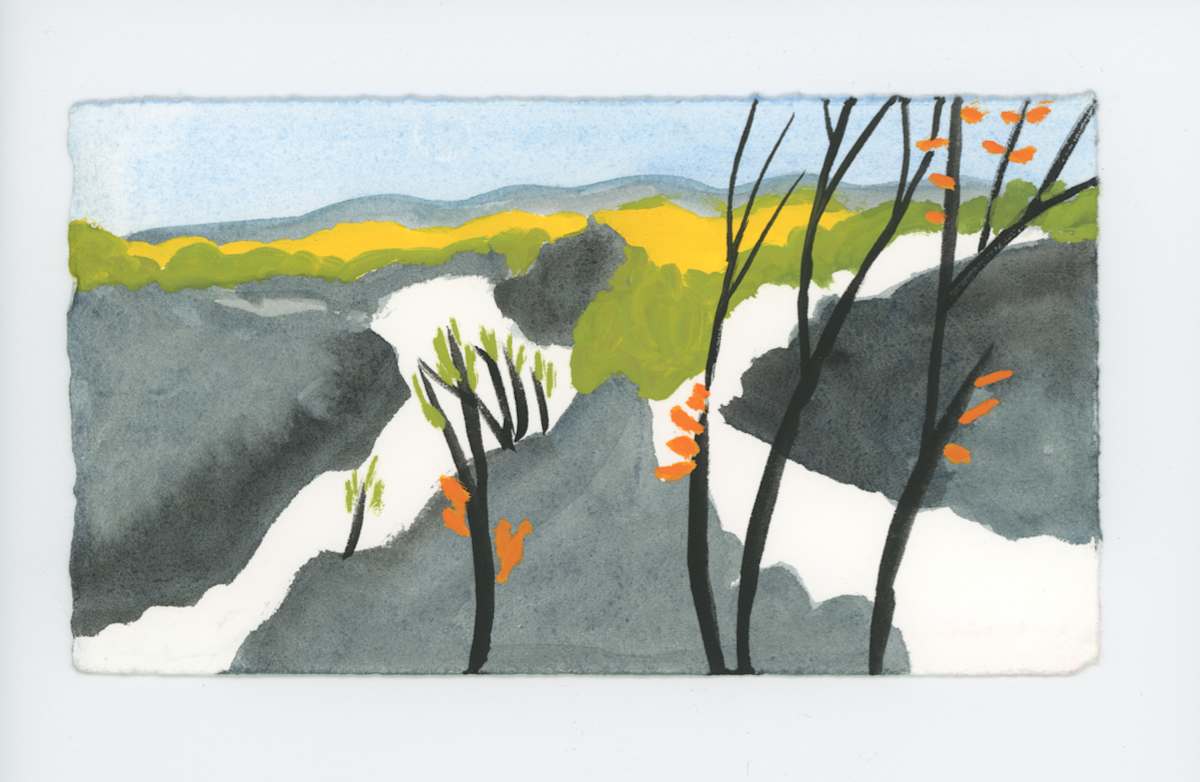 Some Fall Leaves Near Olmsted Island, #1771, Image 1.