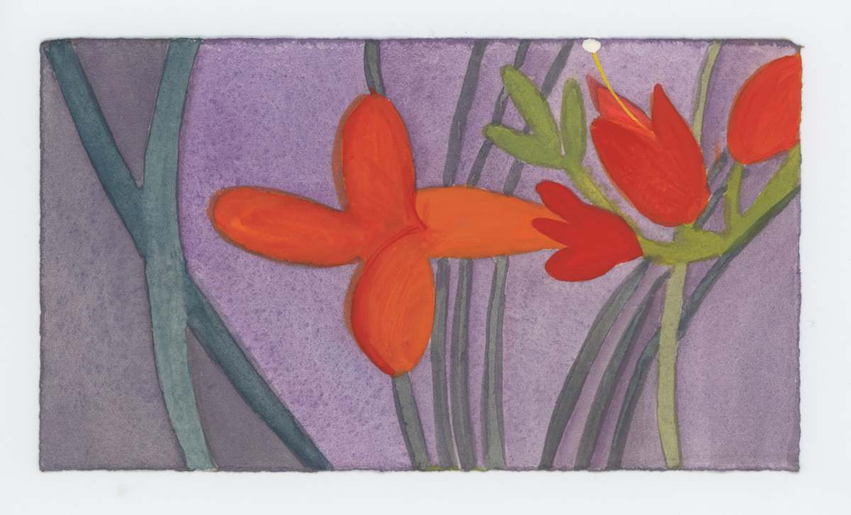 Trumpet Vine Blossoms, #1668, Image 1.
