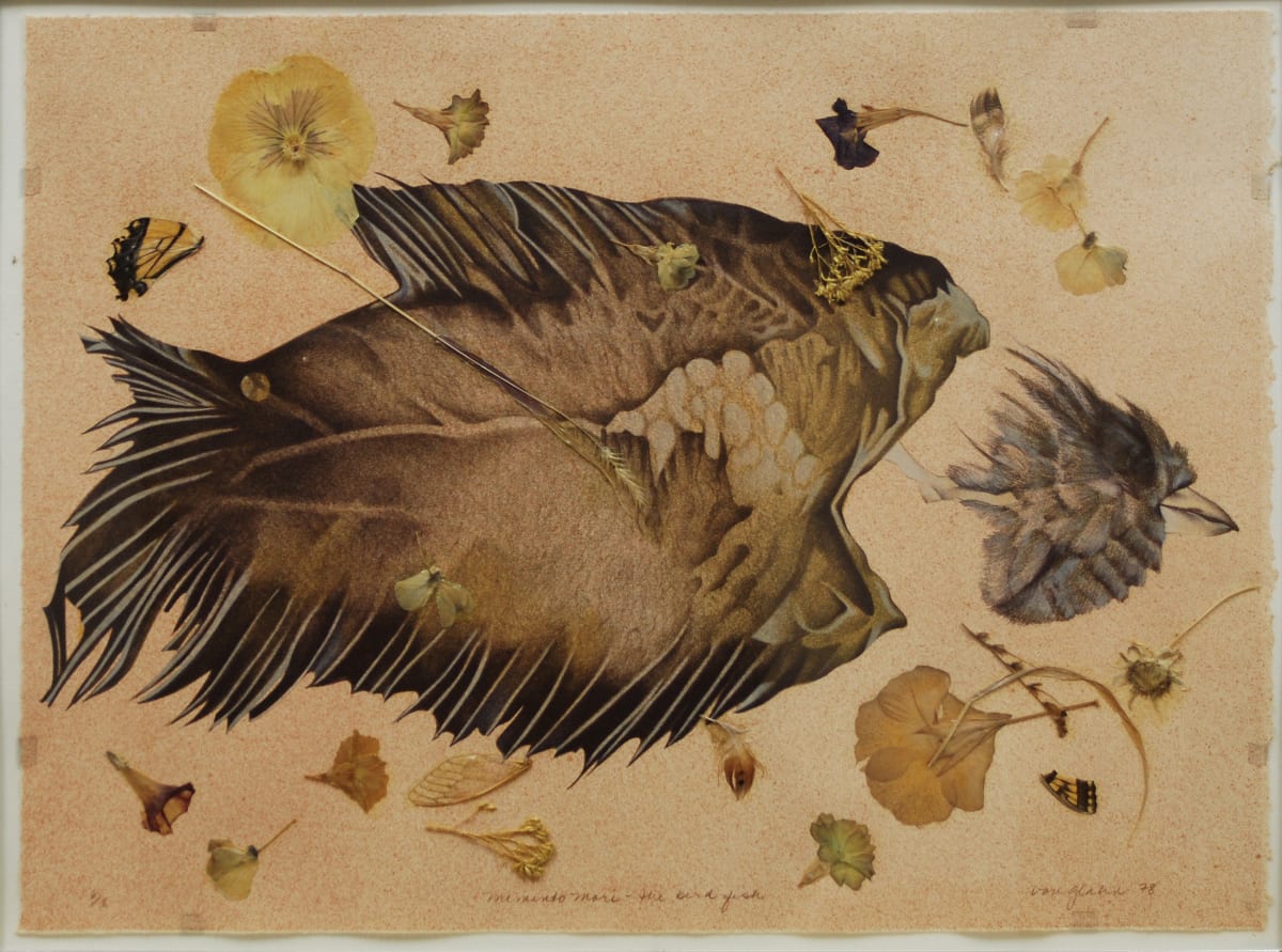 Memento Mori - The Bird Fish by Susan Von Glahn 