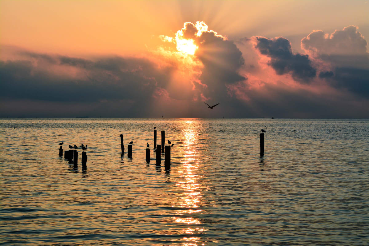 A Tranquil Morning by Shannon Donaldson 