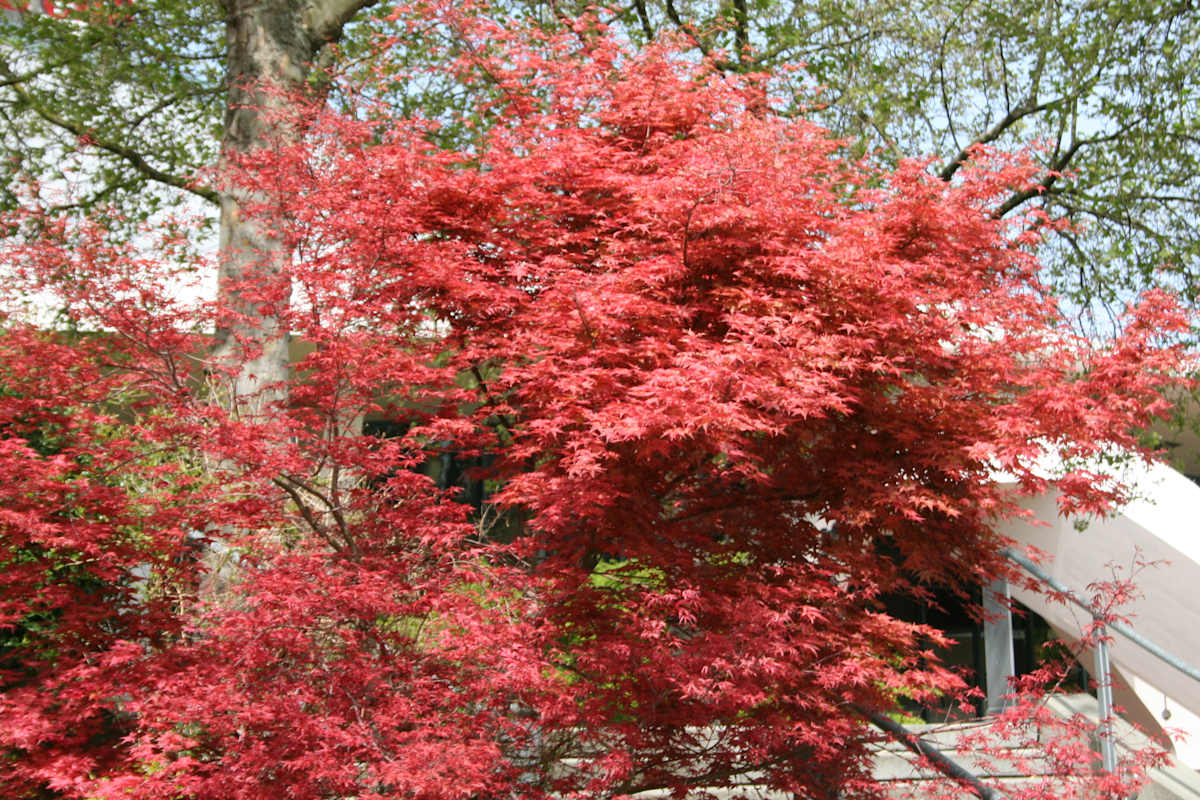 Colorful Spring by Ken Hargett, Image 1.
