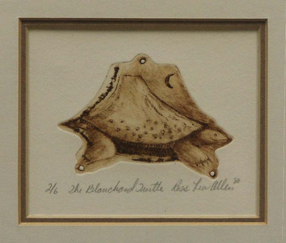 The Blanchard Turtle by Ross Lew Allen, Image 1.
