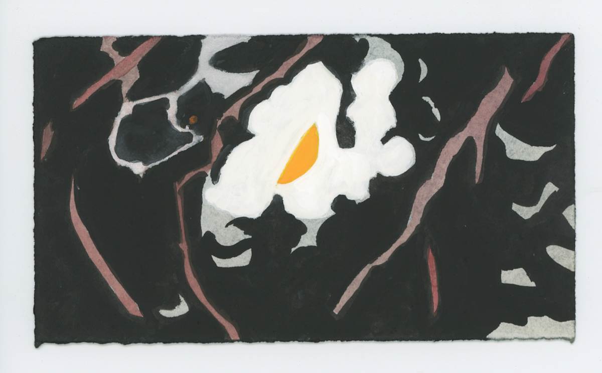 The Moon Through the Sycamores, #1695, Image 1.