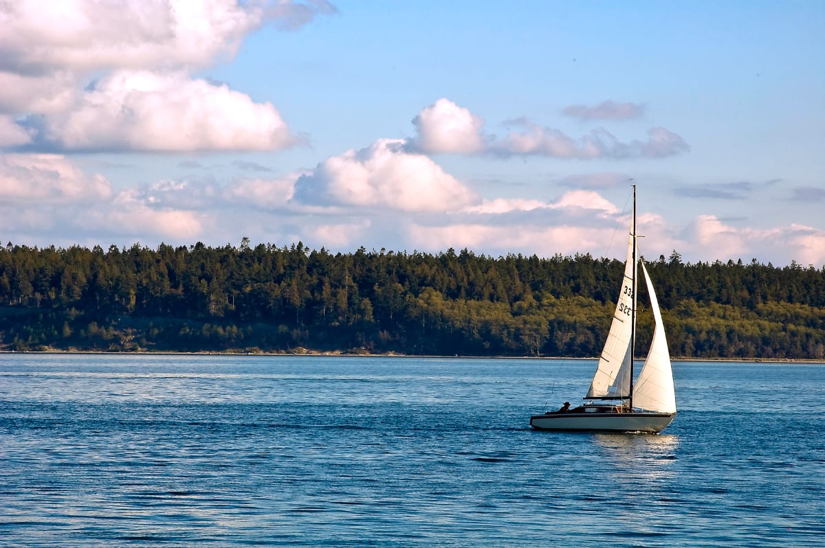 Smooth Sailing by Ann Holmes 