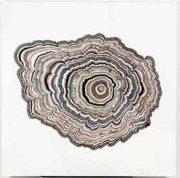 144 Years by Steven Anderson 