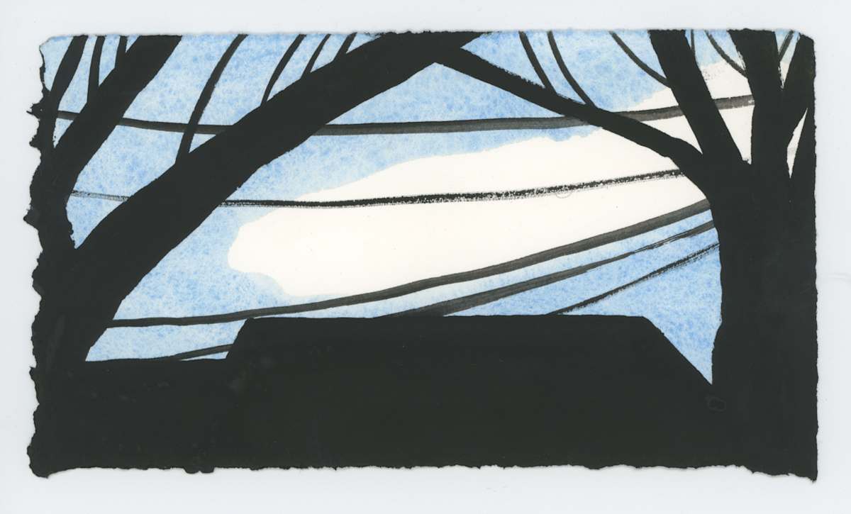 Through the Sycamores After Sunset, #1669, Image 1.
