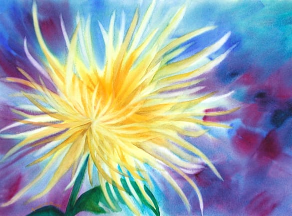 Bursting Spider Mum by April Rimpo 