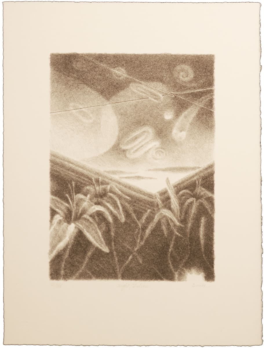 Night/Lilies by George Burk, Image 1.