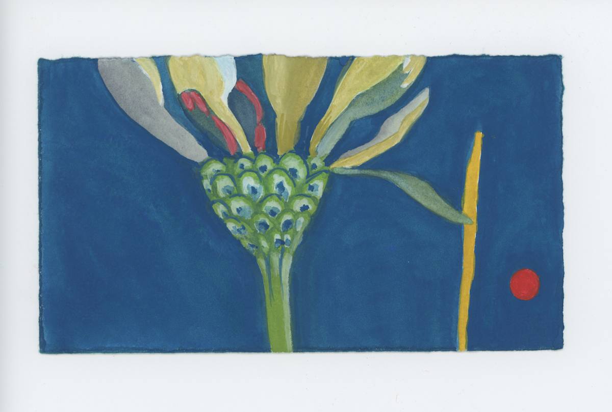 A Night Zinnia, #1793, Image 1.