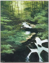 Anna Ruby Falls by Elizabeth Lang, Image 6.