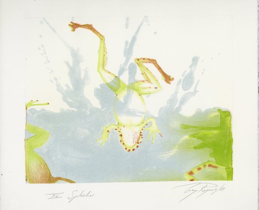 Splasher by Gay Rogers 