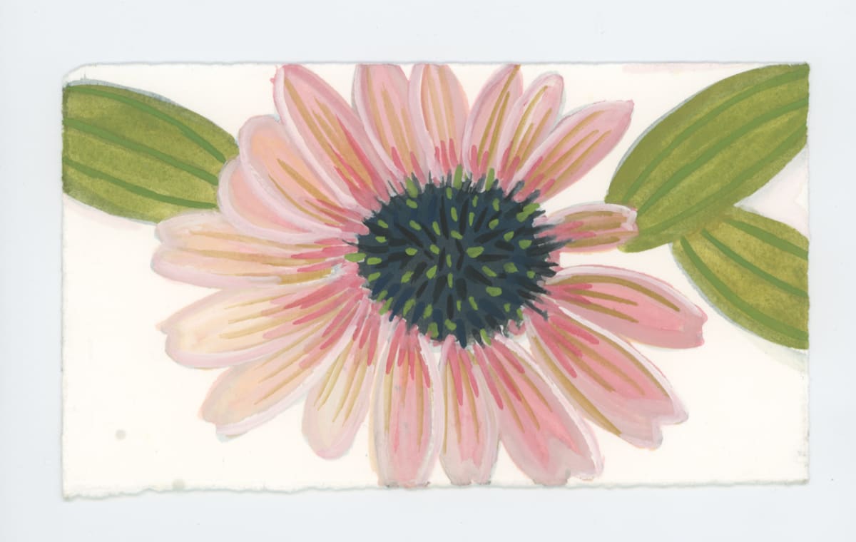 A Full Echinacea, #1720 