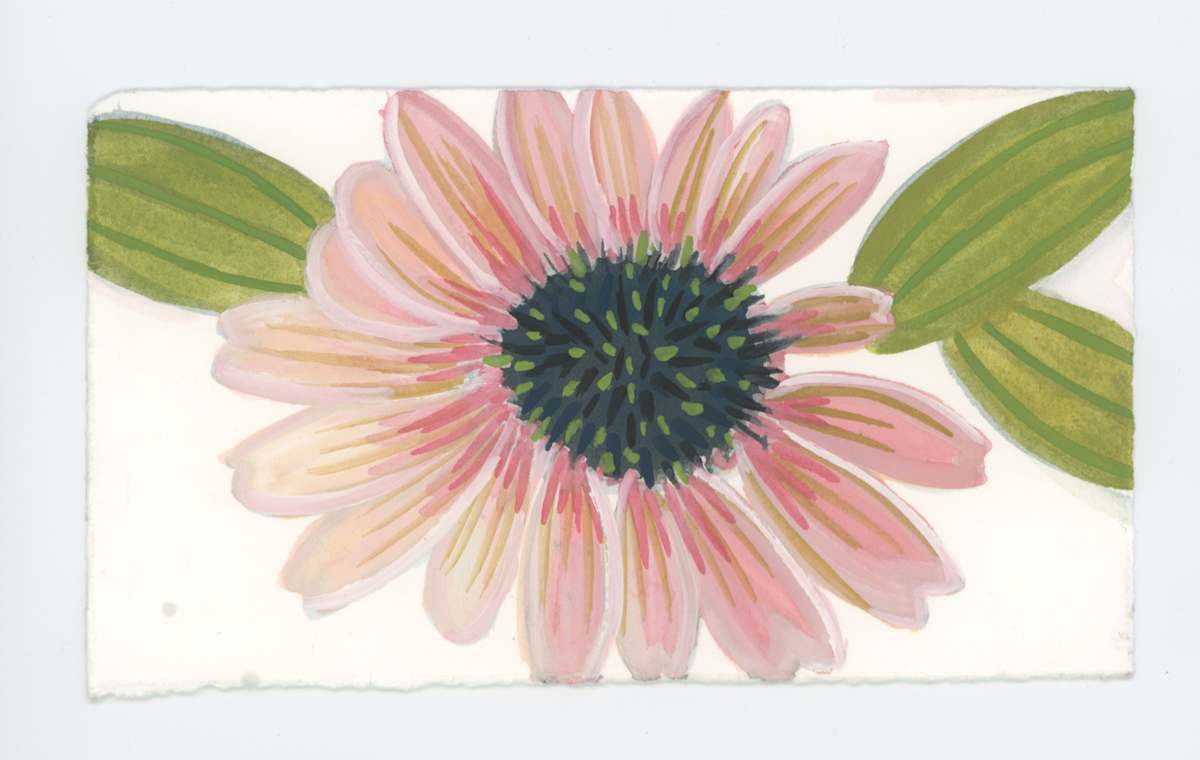 A Full Echinacea, #1720, Image 1.