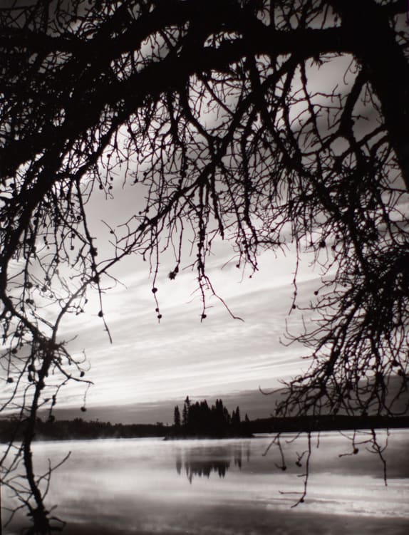 Jack Pine Island by Ron Smid 