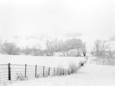 Landscape, winter Fog by Michael Johnson 