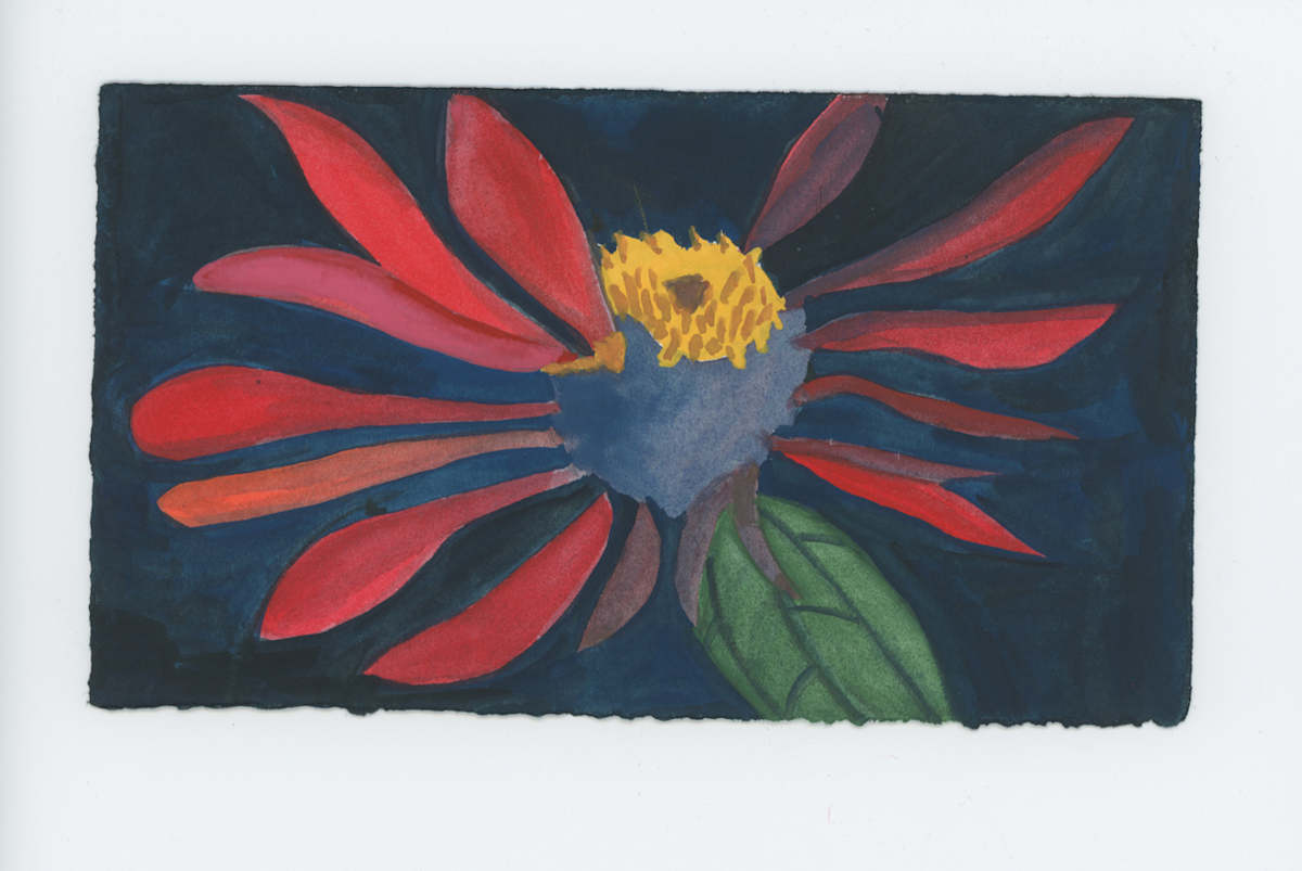 An Older Zinnia at Night, #1787, Image 1.