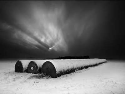 Winter Moonrise by Daniel Coburn 