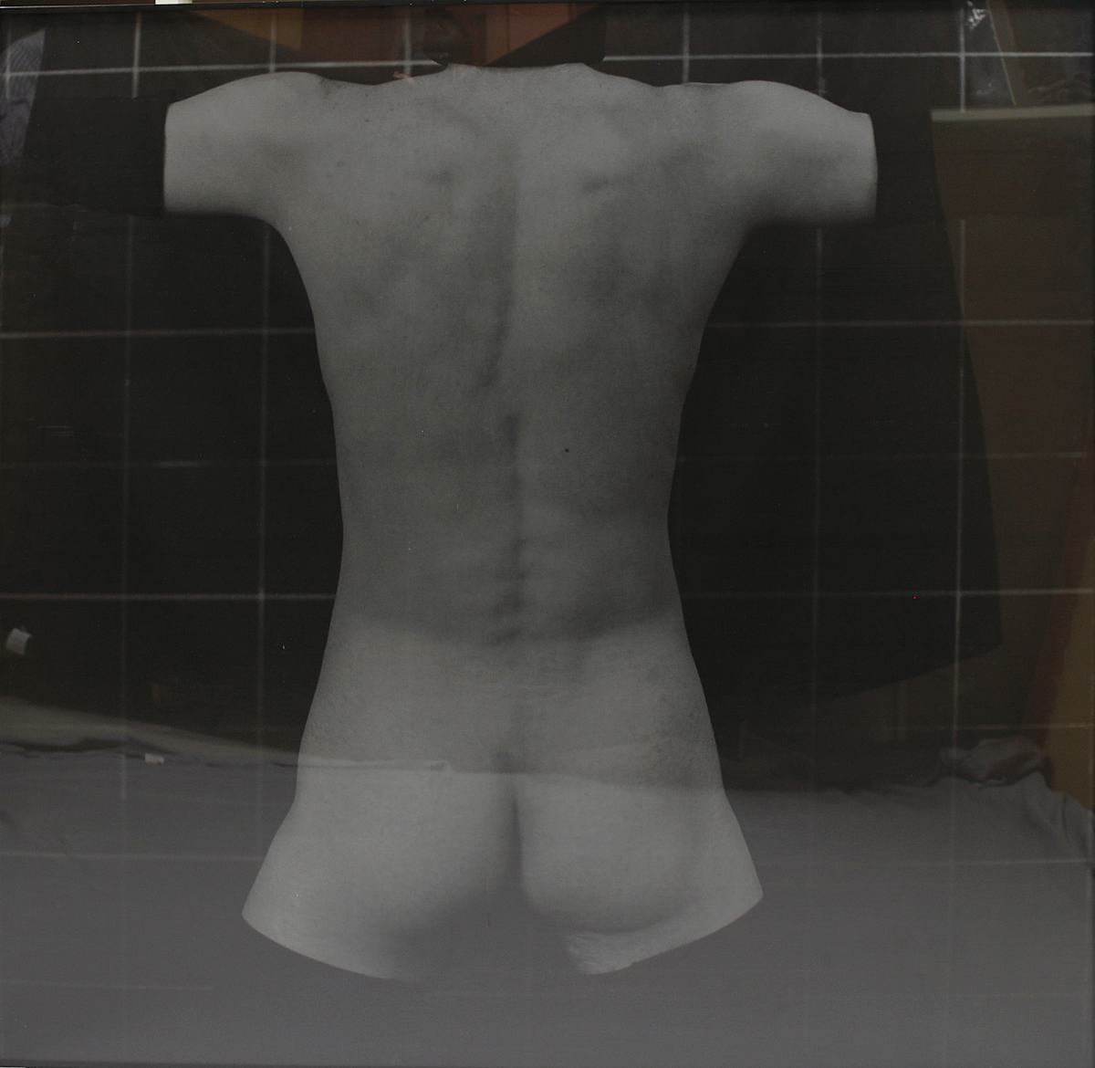 Torso by Ron Cooper, Image 1.