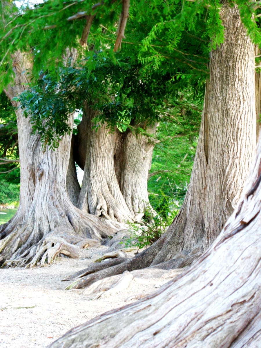 Strength by Christy Johnson 