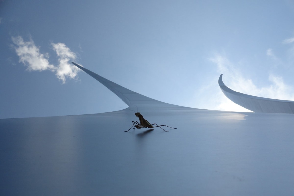 Praying at the Memorial by Paolo Zanotti Fregonara, MD, Ph.D. 