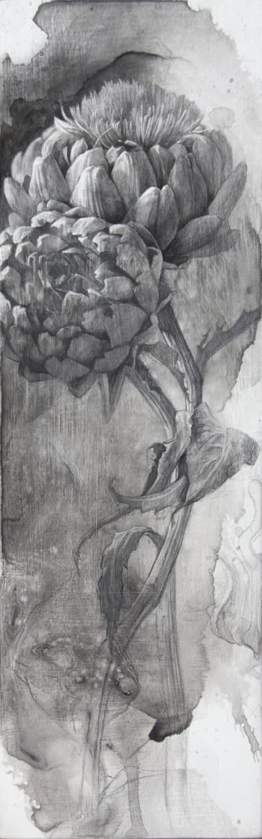 When They Bloom by Robin Cole 
