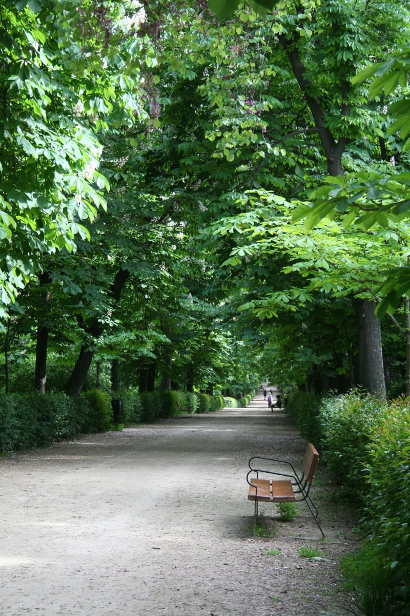 Retiro Park by Charlotte Prado 