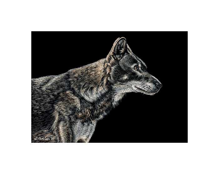 The Guard by Lonetta Avelar, Image 1.