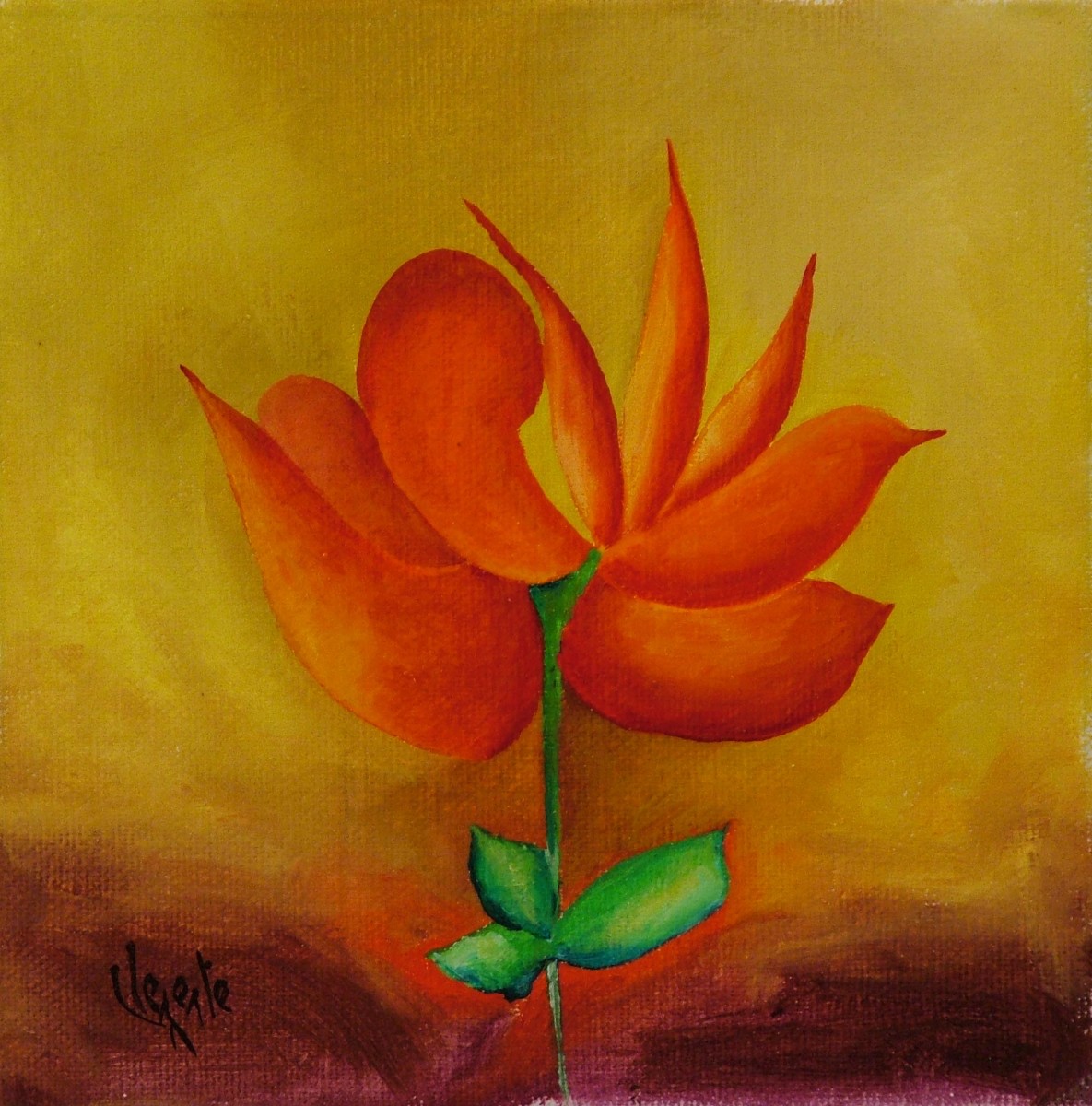 F405 by Clemente Mimun 