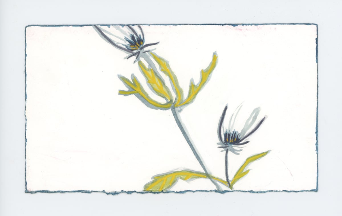 Blue Thistles, #1887, Image 1.