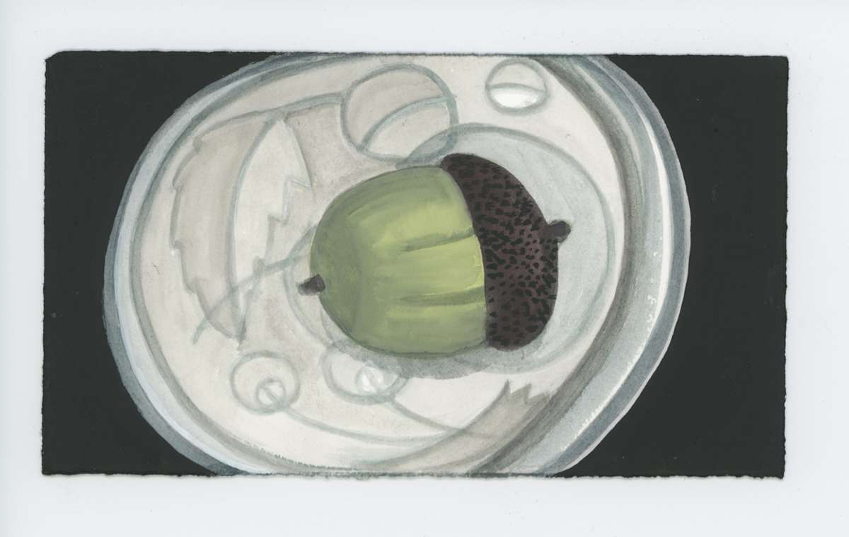 An Acorn, #1909, Image 1.