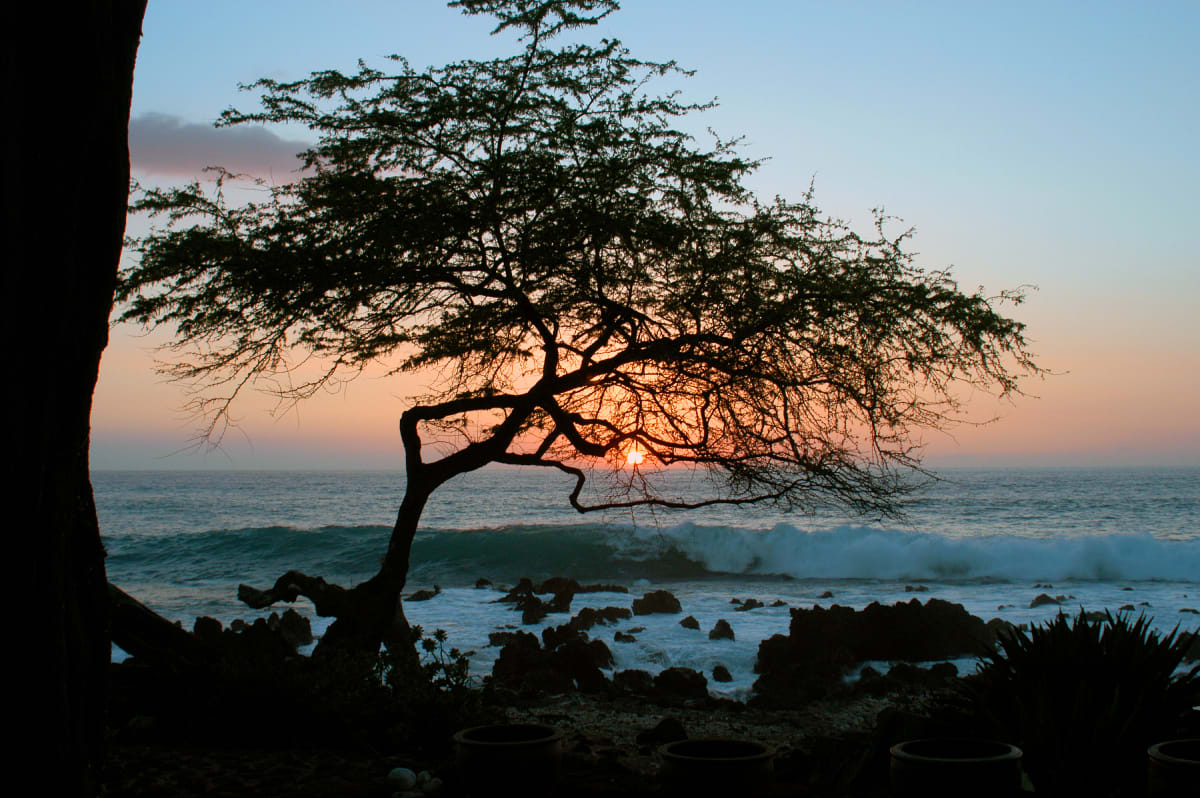 Mauna Kea Sunset by Patrick Reardon, MD 