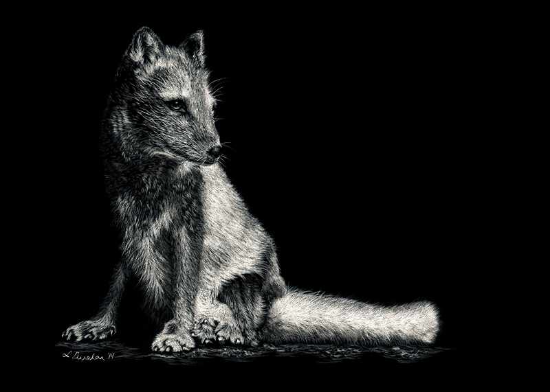 Morning Sun by Lonetta Avelar, Image 1.
