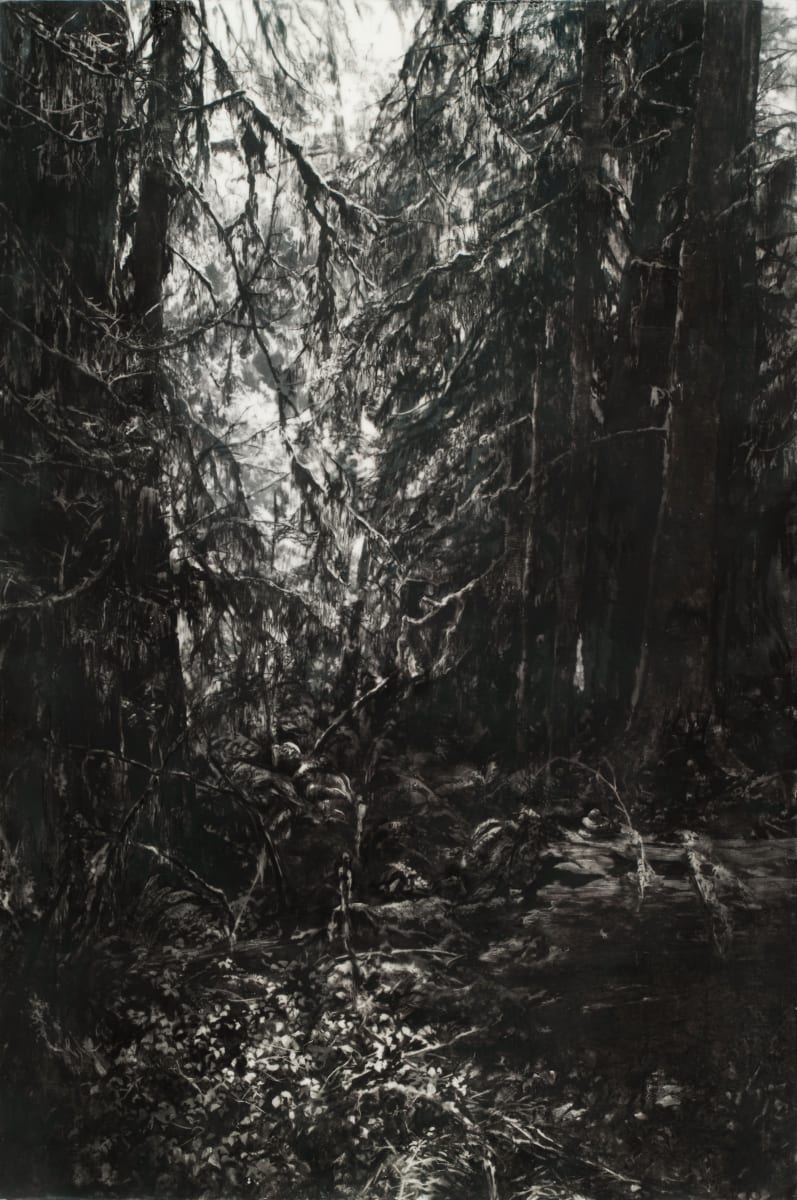 The Passage by Robin Cole, Image 1.