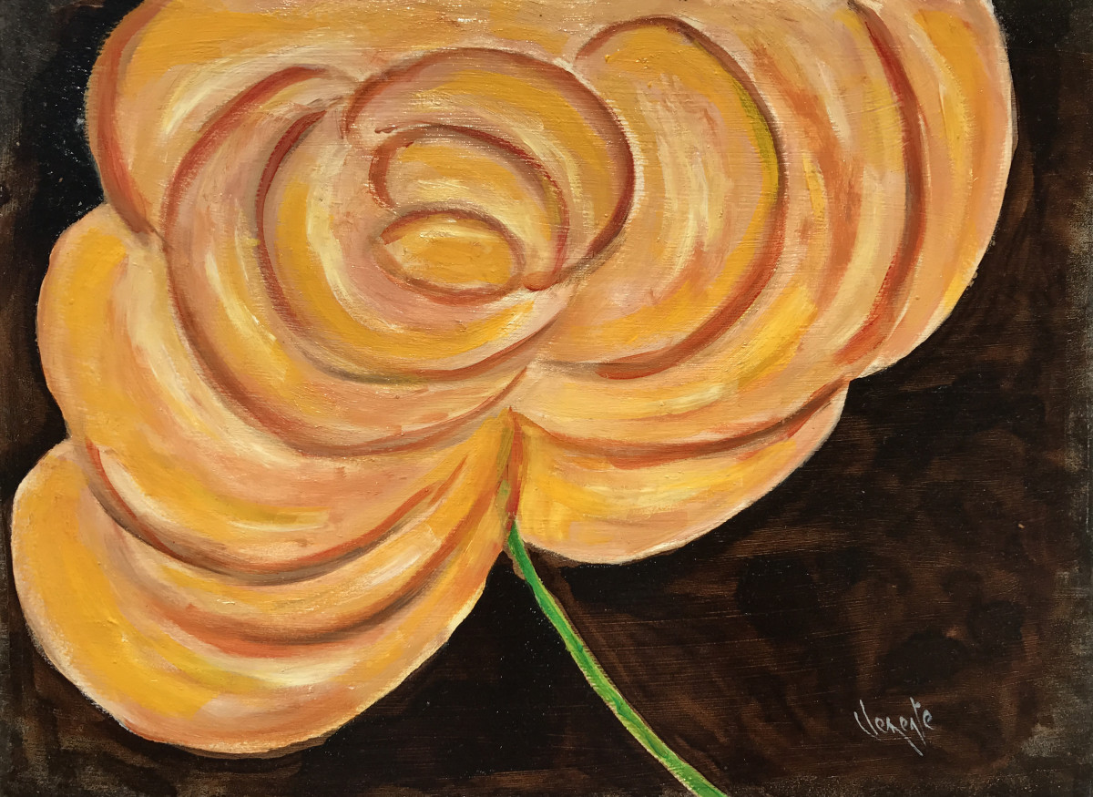 Orange Spiral Flower by Clemente Mimun 
