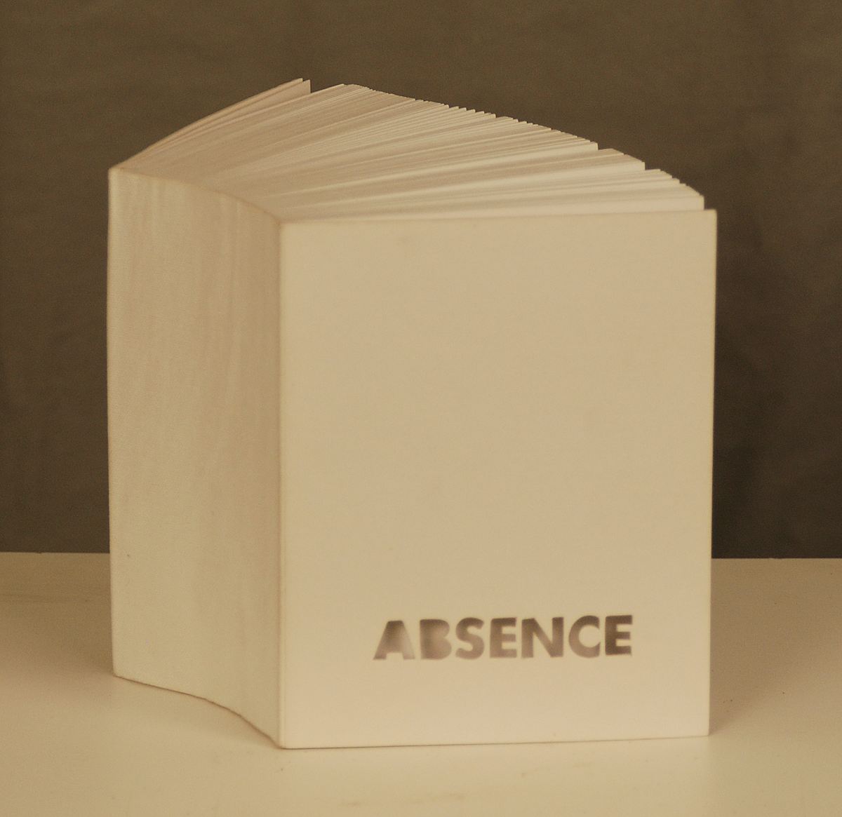 Absence by J. Meejin Yoon, Image 1.