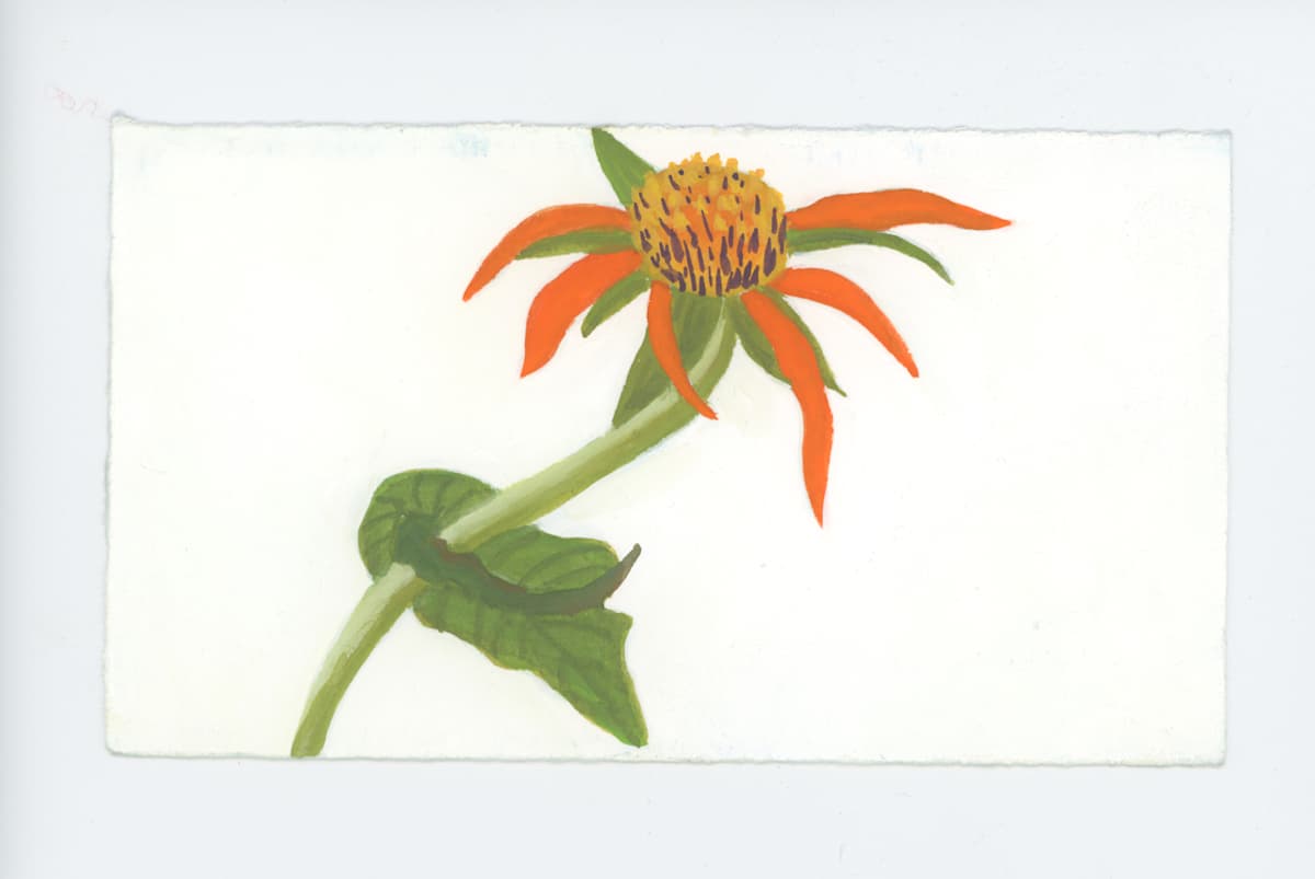 November, #1797, Image 1.