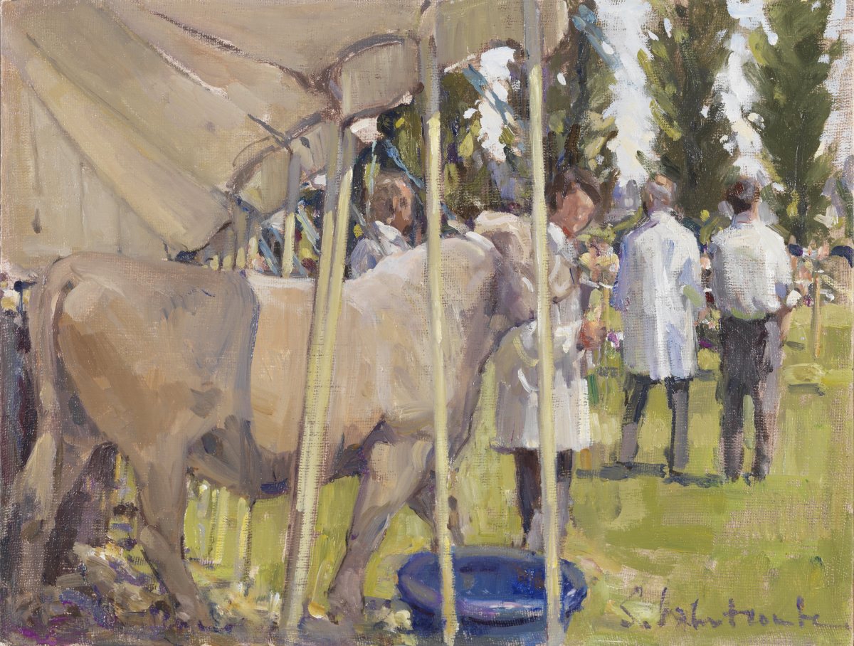Alton Show, Charollais class by Susie Whitcombe 
