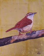 Carolina Wren by Tim Hunter 