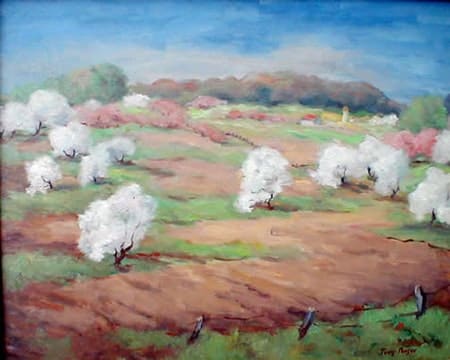 Field with Trees in Spring Blossoms by Tunis Ponsen 