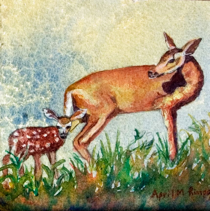 Deer with Fawn by April Rimpo 