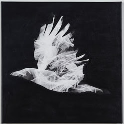 As the Crow Flies II by Lori Lejeune 