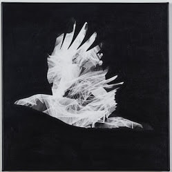 As the Crow Flies II by Lori Lejeune, Image 4.