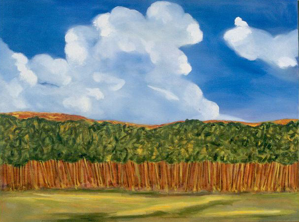 Cumulus Clouds Over The Grove by Clemente Mimun 