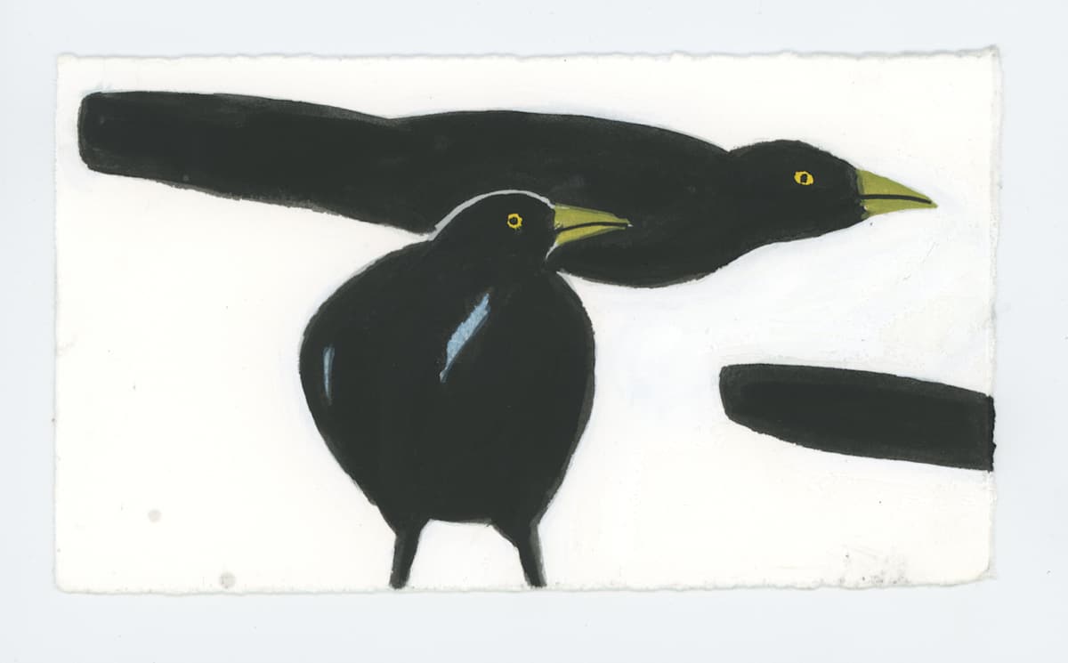 The Grackles, #1744, Image 1.