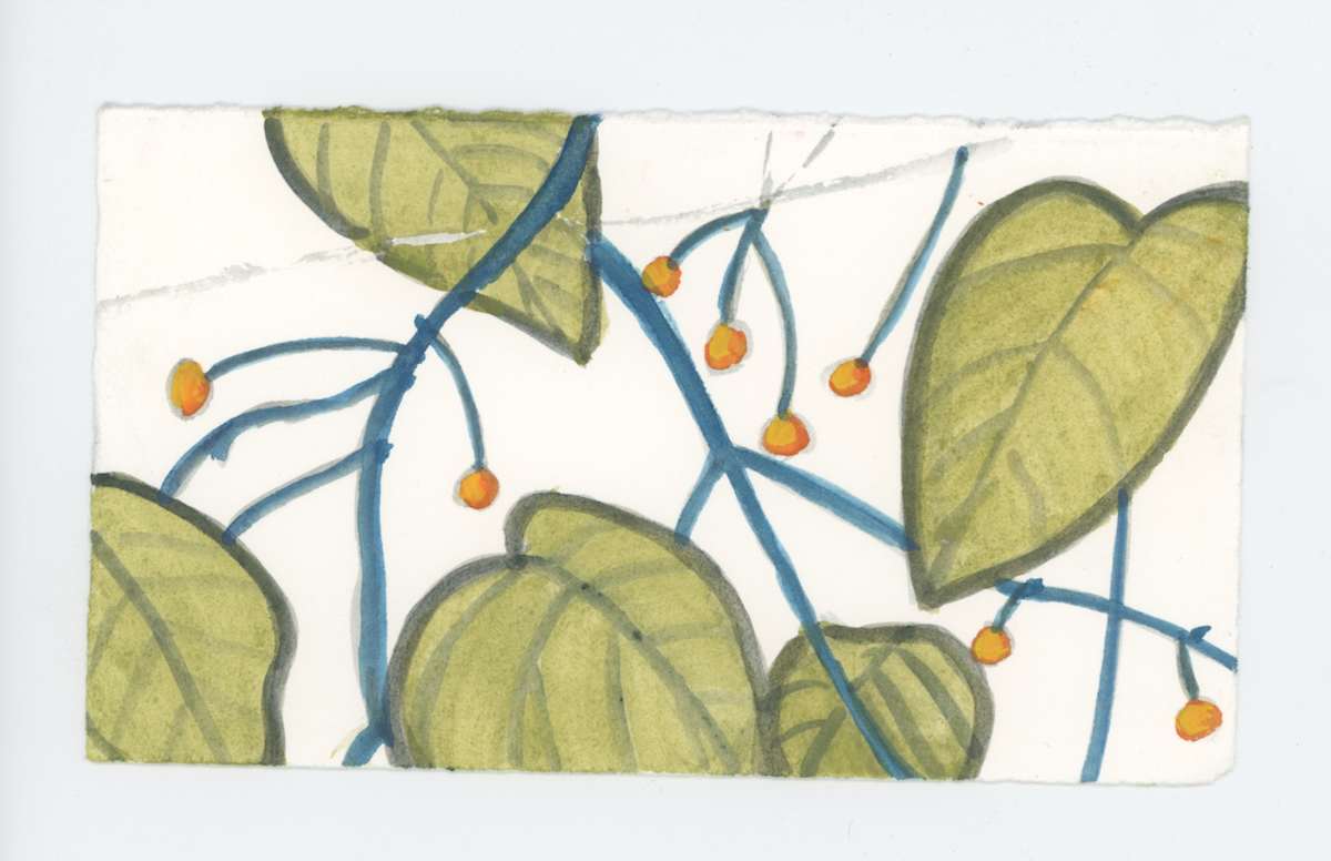On Olmsted Island, #1731, Image 1.