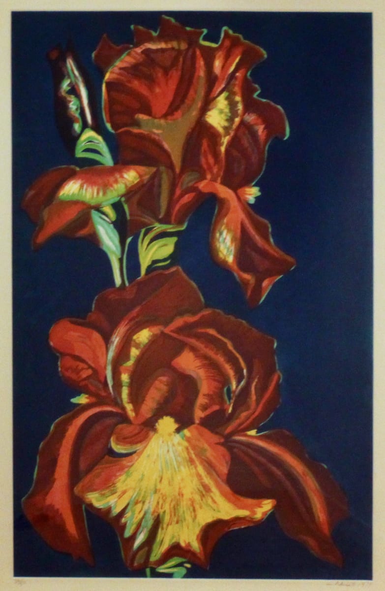 Iris by Lowell Nesbitt 