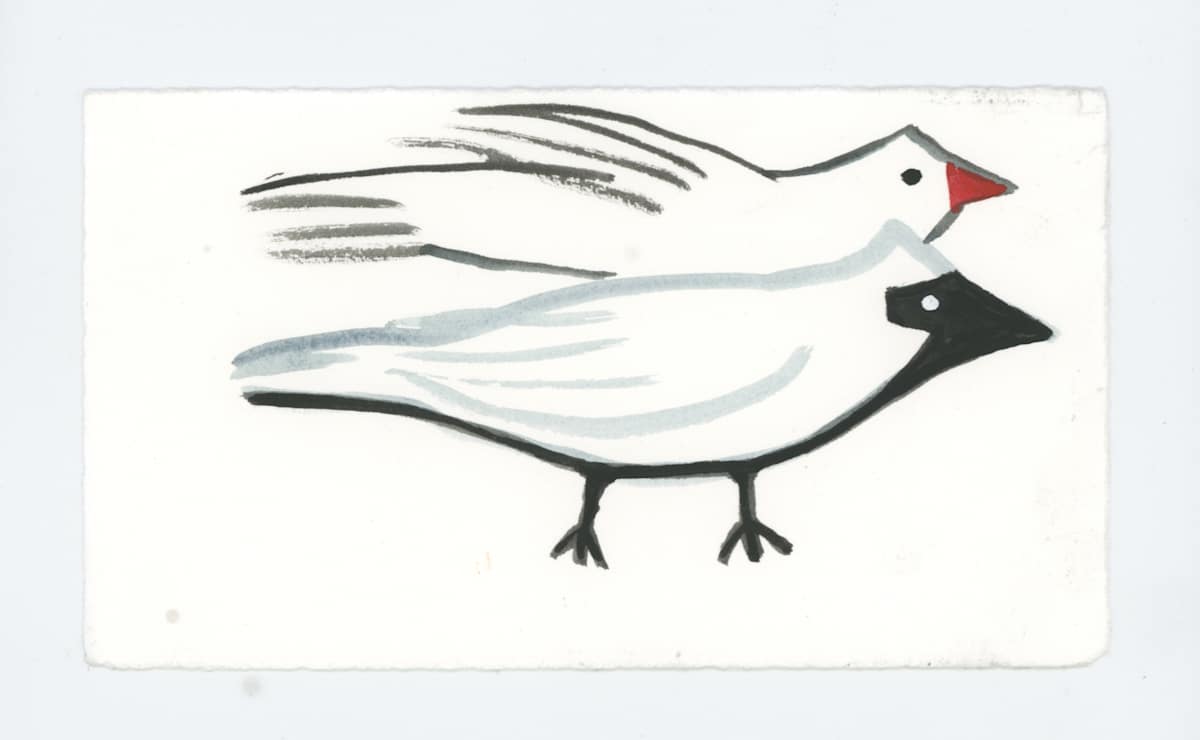 Some Dear Friends, Cardinals,#1746, Image 1.