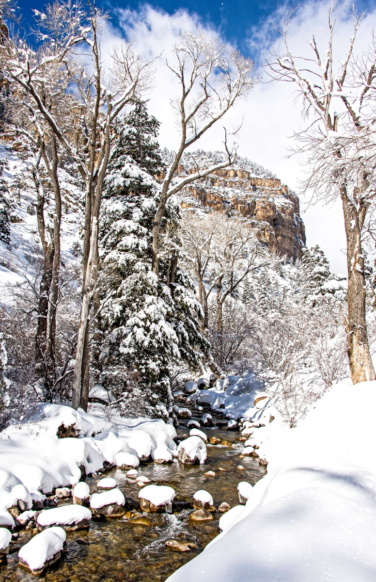 Fresh Snowfall by Ann Holmes 