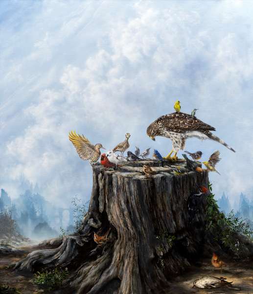 Aviary by Brian Mashburn, Image 2.